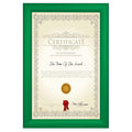 11x17 Light Green SnapeZo® Snap Frame - 1.2" Profile