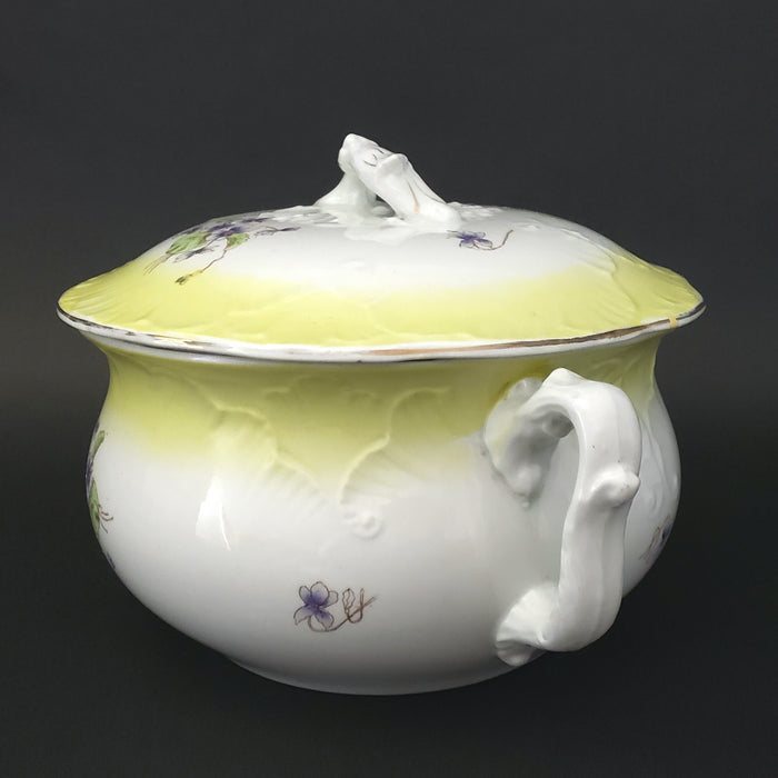 Antique English Chamber Pot Yellow & Purple Violets Lid By Johnson Brothers England