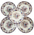 Antique Polychrome Transferware Plate Set of 5 FLORILLA by E. Challinor England