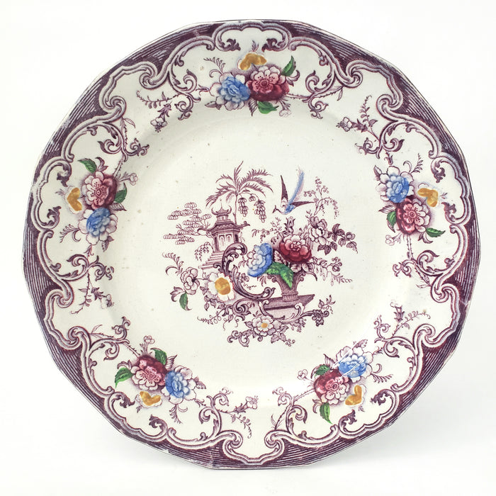 Antique Polychrome Transferware Plate Set of 5 FLORILLA by E. Challinor England