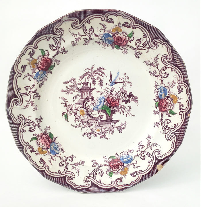 Antique Polychrome Transferware Plate Set of 5 FLORILLA by E. Challinor England