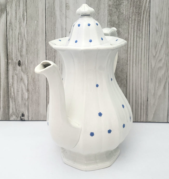 Antique White Granite Ironstone Teapot Blue Flower Heads 11" William Ridgway & Co. England