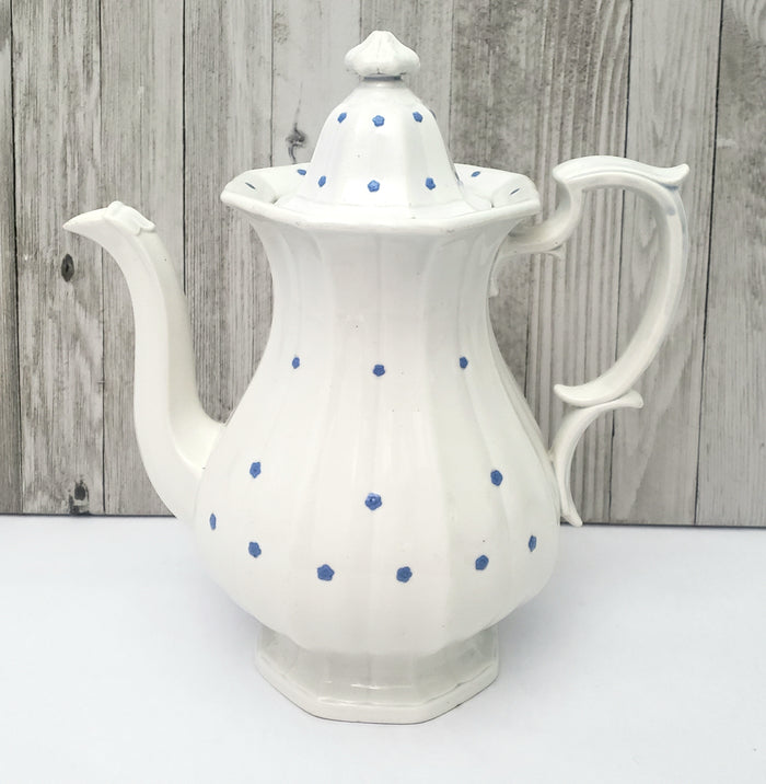 Antique White Granite Ironstone Teapot Blue Flower Heads 11" William Ridgway & Co. England