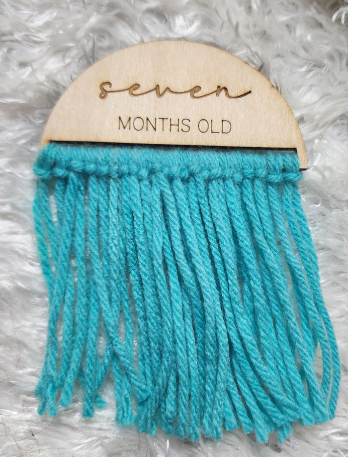 Baby Monthly Milestones