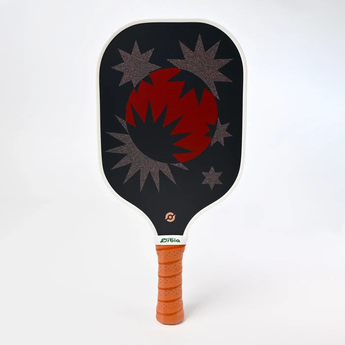 Beginner Pickleball Paddle Set with 2 Paddles and 4 Outdoor Balls for Easy Play and Fun