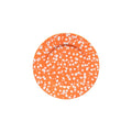 Costa Nova Rafaela Salad Plate - Tangerine