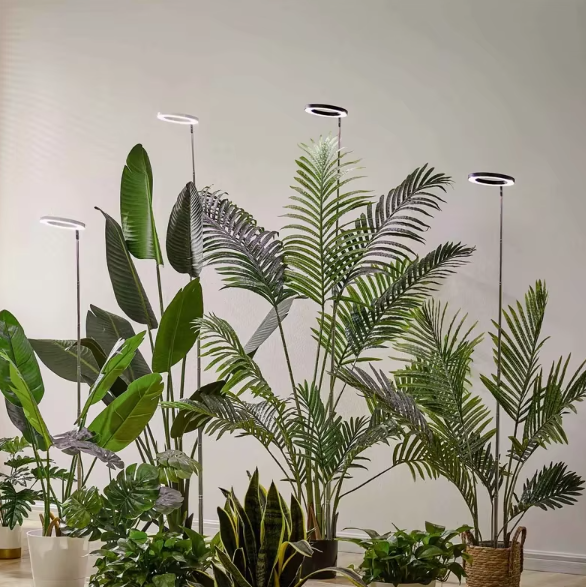 Grow Light For Indoor Plants Full Spectrum LED Plant Light, Year-Round Growth, Energy Efficient