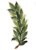 Hester & Cook "Laurel" Table Accents