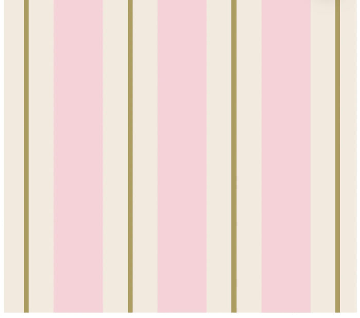Hester & Cook Pink & Gold Awning Stripe Cocktail Napkins