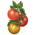 Hester & Cook "Tomato" Table Accents