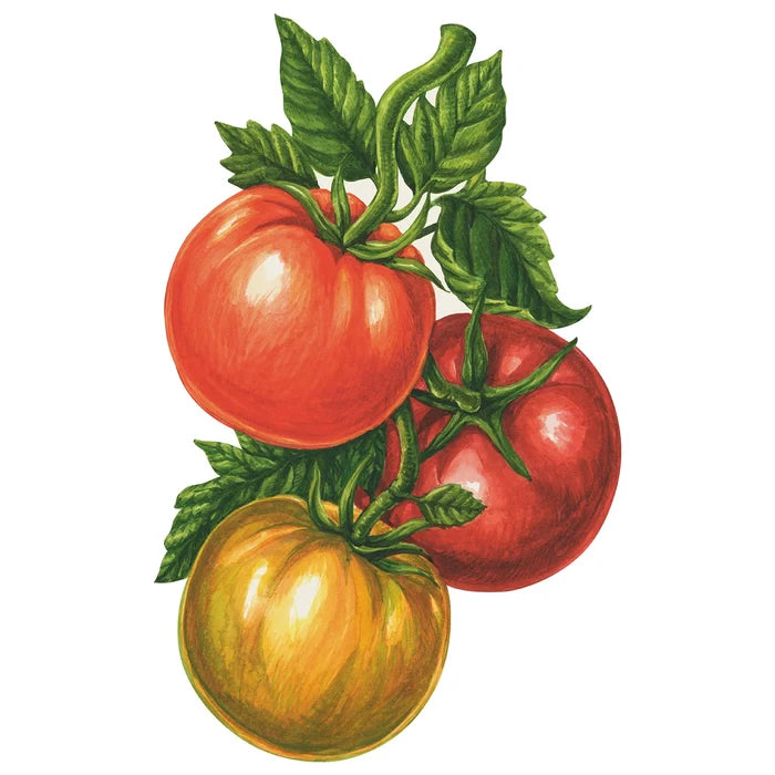 Hester & Cook "Tomato" Table Accents