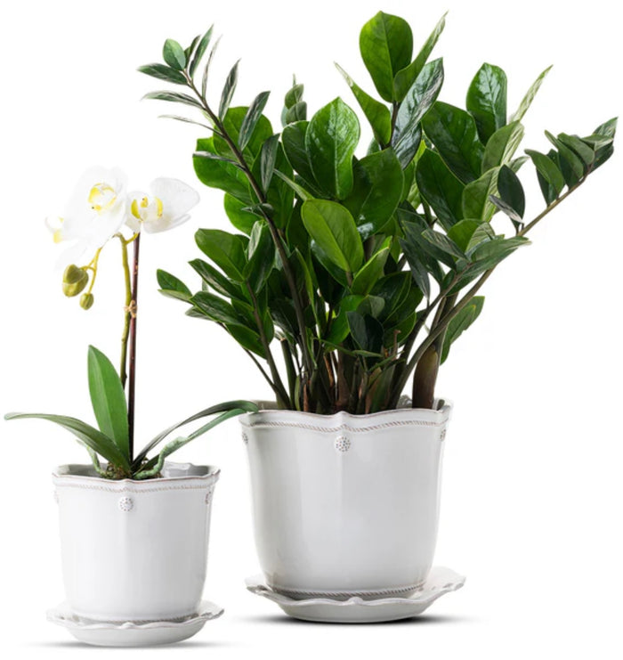 Juliska Berry & Thread 7" Planter