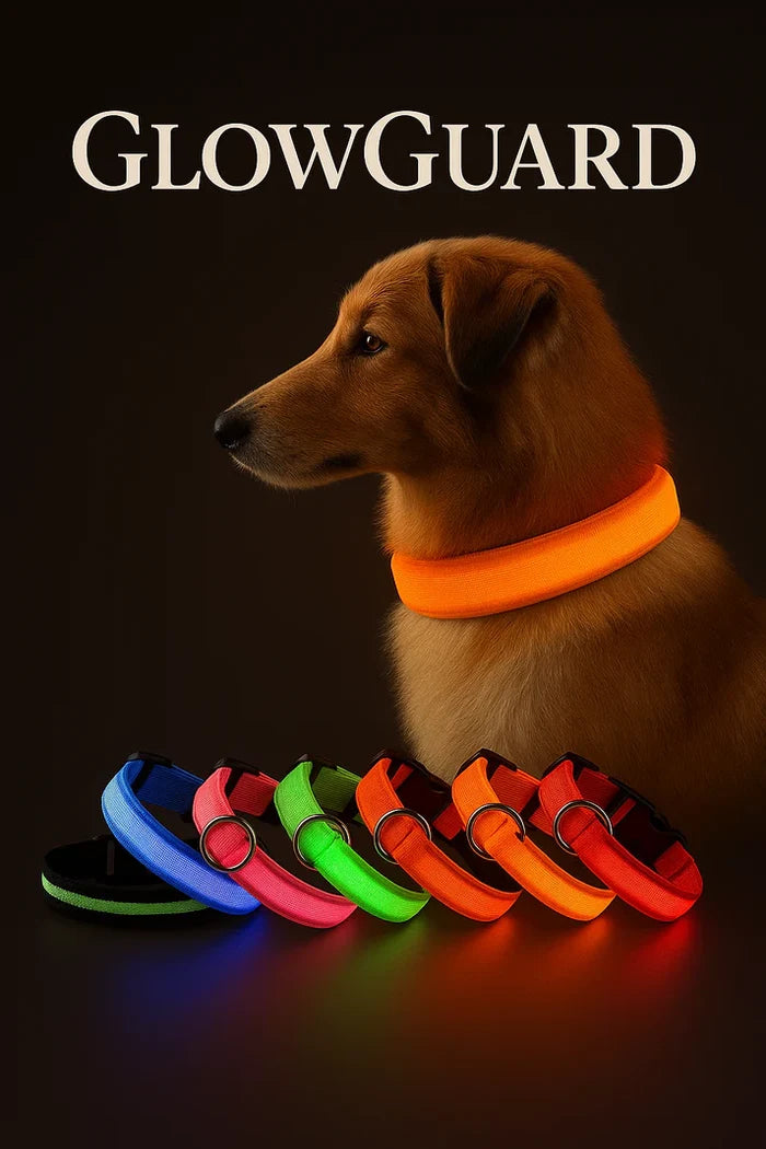 LED Dog Collar Rechargeable Luminous Small Dog Night Walks Fall 2025 Flashing Anti Lost Safety