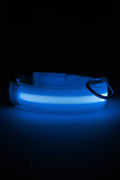 LED Dog Collar Rechargeable Luminous Small Dog Night Walks Fall 2025 Flashing Anti Lost Safety