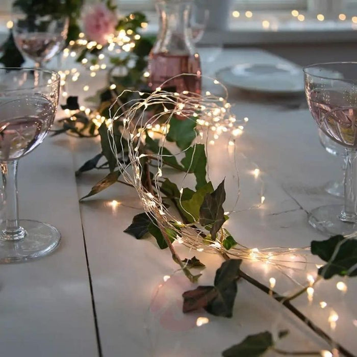 LED String Lights Indoor Outdoor Fairy Holiday Decor