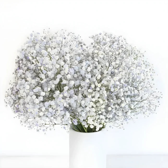 Light Lavender Airbrushed Babys Breath Flower Vase - Image