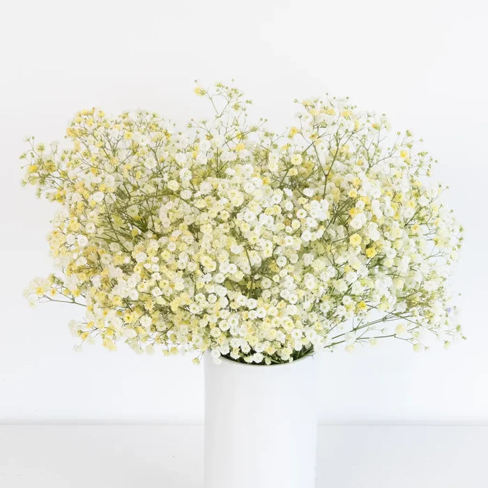 Light Yellow Airbrushed Baby's Breath Flower Vase - Image