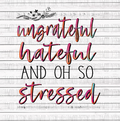 NSFW- Ungrateful Hateful Stressed