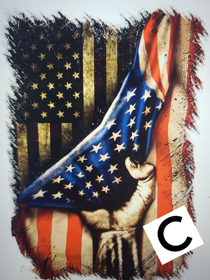 Patriotic Garden Flag