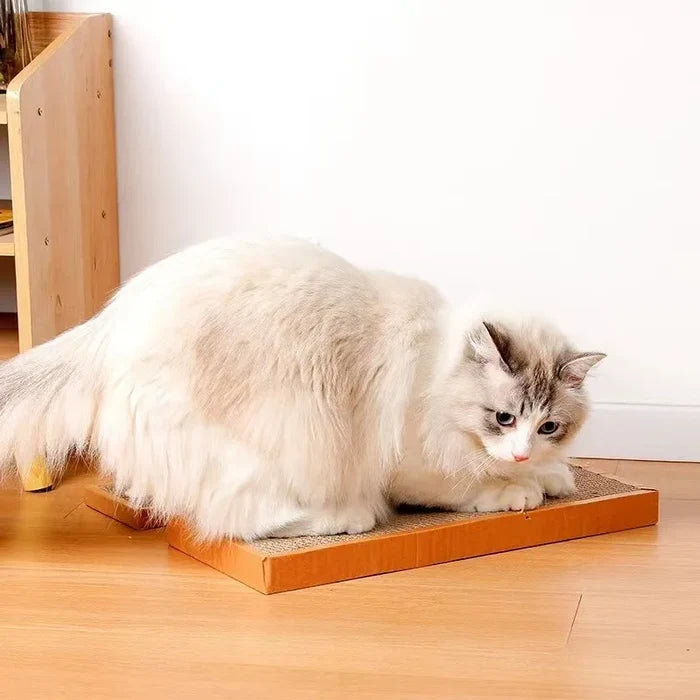 Pet Cat Scratching Board Cat Cardboard Mat for Claw Grinding