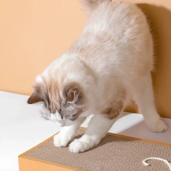 Pet Cat Scratching Board Cat Cardboard Mat for Claw Grinding