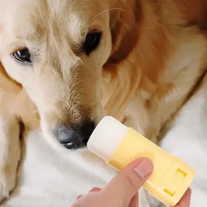 Pet Paw Balm for Dogs & Cats - 15g Moisturizer for Cracked Paws & Nose, Winter Care Cream