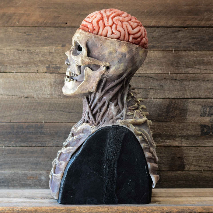 Realistic Movable Jaw Skeleton Mask with Hat – Full Head Halloween Cosplay Accessory for Parties and Events
