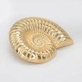 Sea Shell Metal Buttons | 30mm(47L)