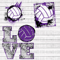 Volleyball Set