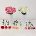 Wholesale Bulk Carnations 50 Stems Your Colors Close Up - Image